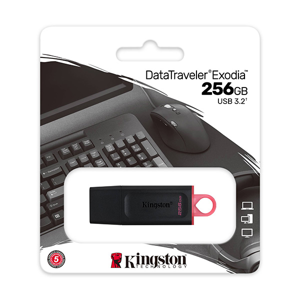 USB Kingston DTX 256Gb USB3.2